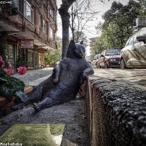 Store O - Beauty Corner Store