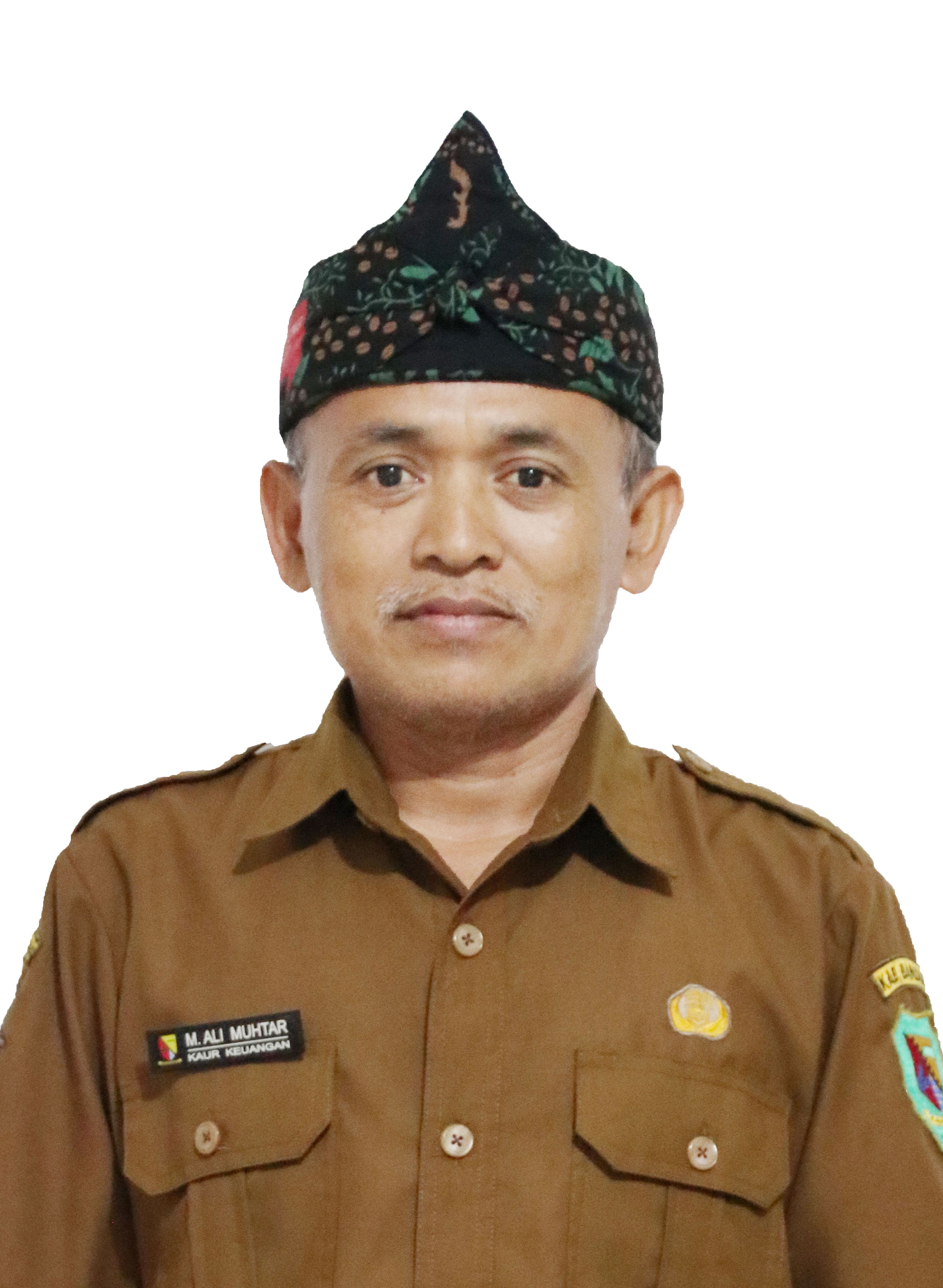 Foto Kaur Keuangan, Keuangan di aparatur desa