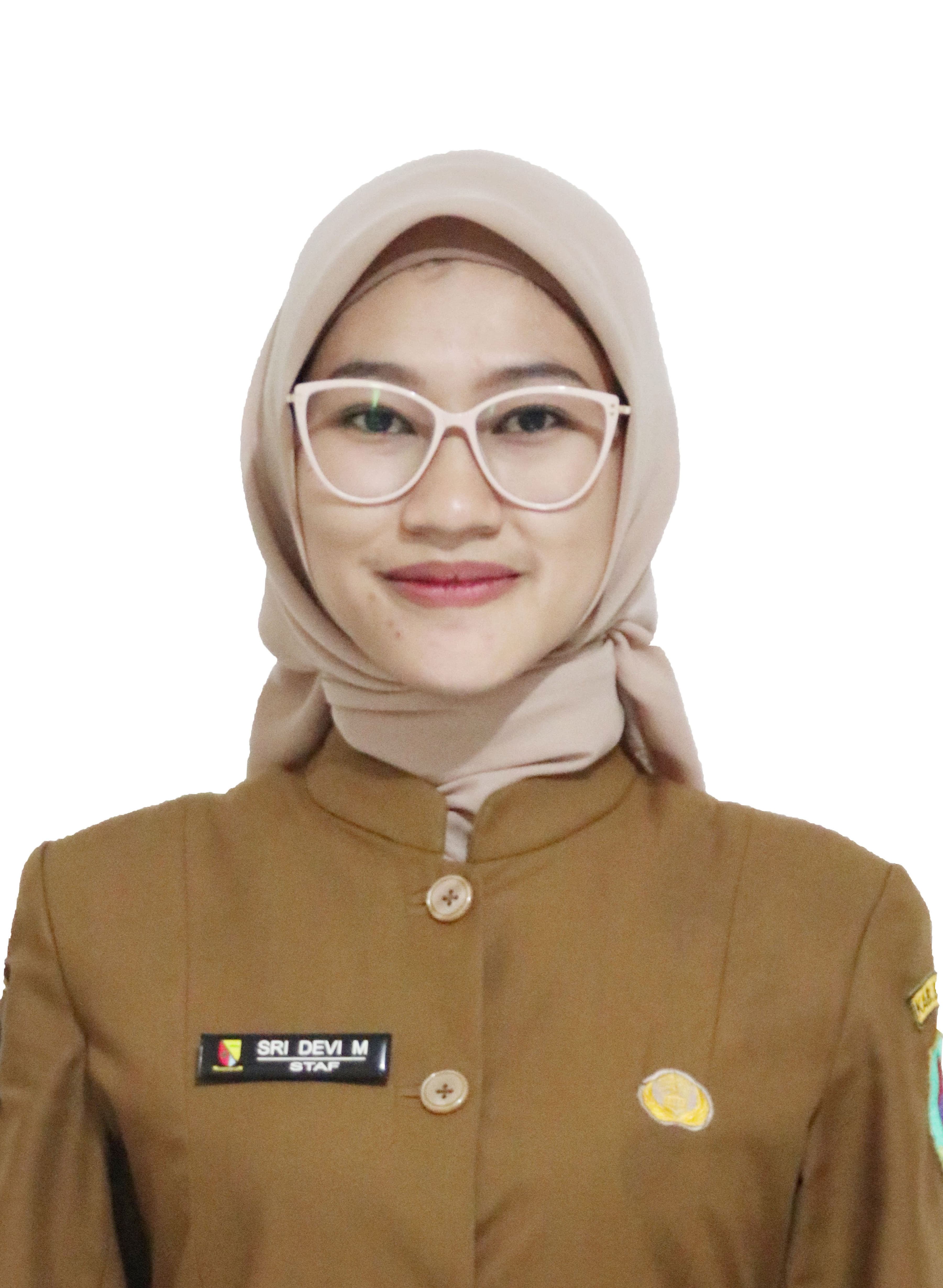 Foto Staf Administrasi, Staf di aparatur desa